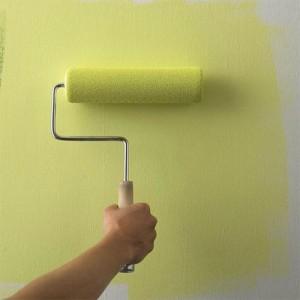 Pinte su casa antes de que los agentes externos causan daos que significar costos mucho ms altos.