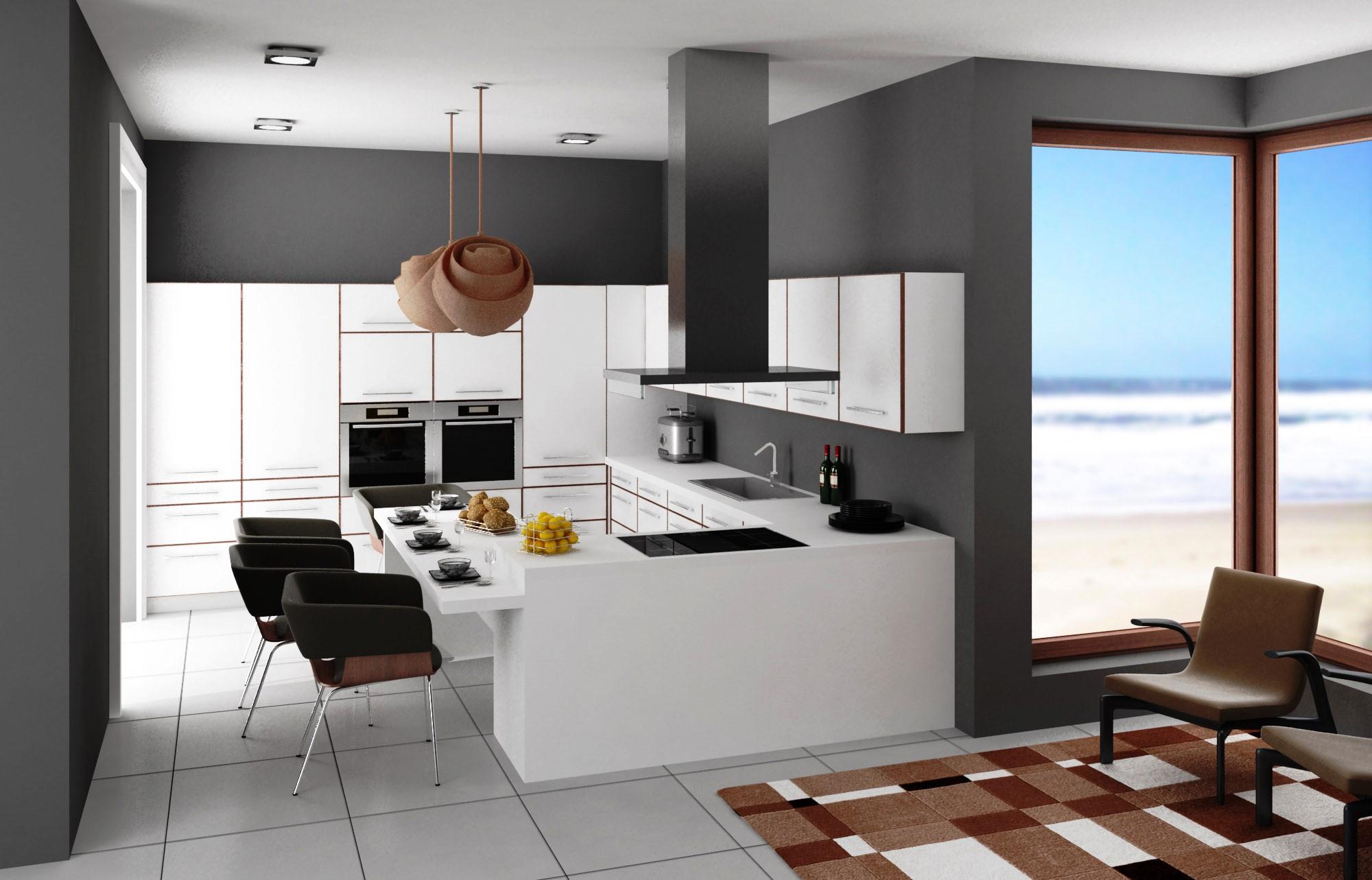Las cocinas de estulo moderno estn compuestas por muebles lisos que facilitan su limpieza y dificultan la acumulacin e sucuiedad. La ventilacion de su cocina es de extrema importancia.